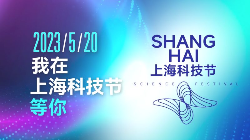 企业数字化解决方案：性价比背后的关键考量